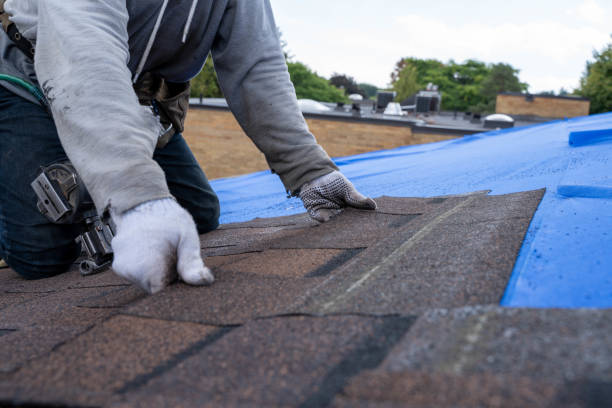 Best Storm Damage Roof Repair  in Tome, NM